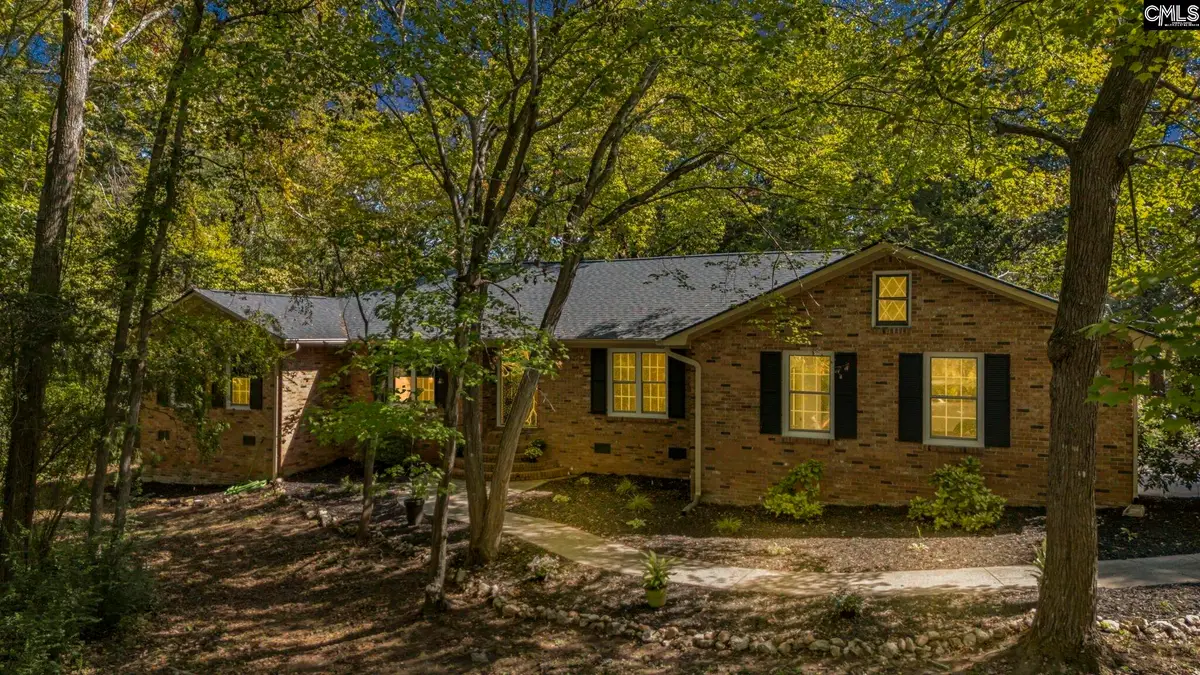 1113 Three Dog Road, Chapin, SC 29036 - #1
