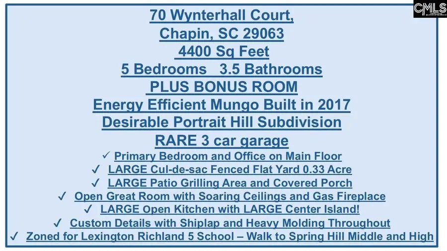70 Wynterhall Court, Chapin, SC 29036 - #2