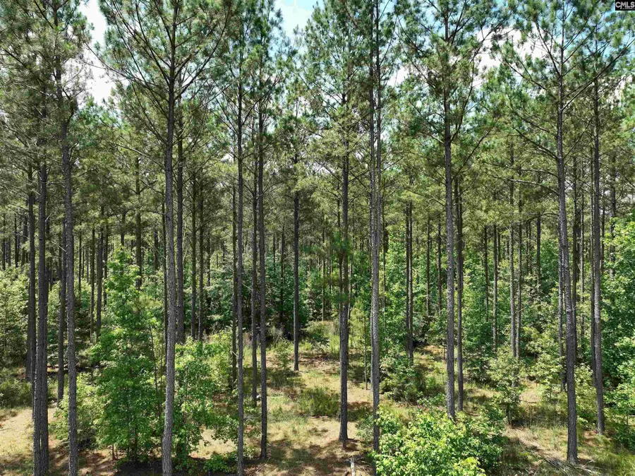 TBD Elford Grove Road Road #15, Jonesville, SC 29353 - #3
