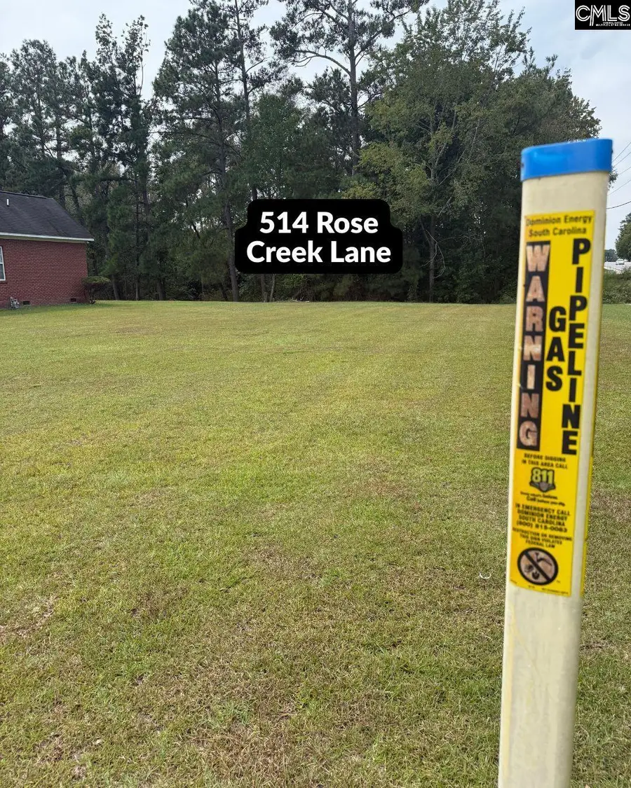 514 Rose Creek Lane, Columbia, SC 29229 - #2