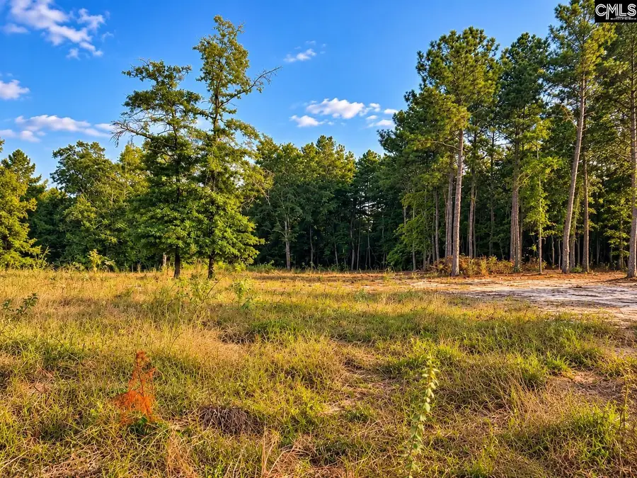 TBD Beaker Road, Heath Springs, SC 29058 - #2