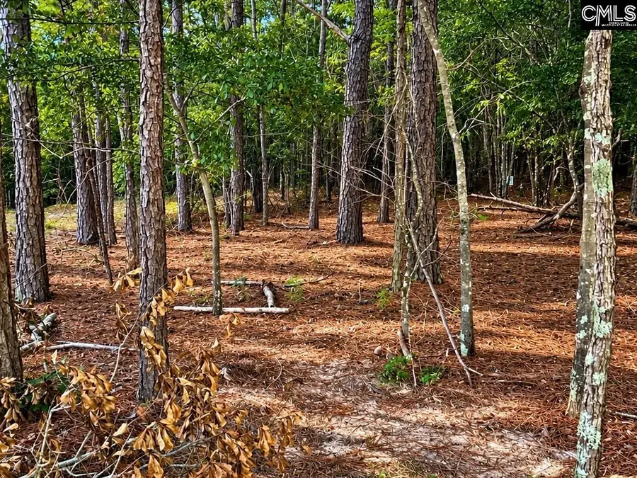 TBD Beaker Road, Heath Springs, SC 29058 - #3