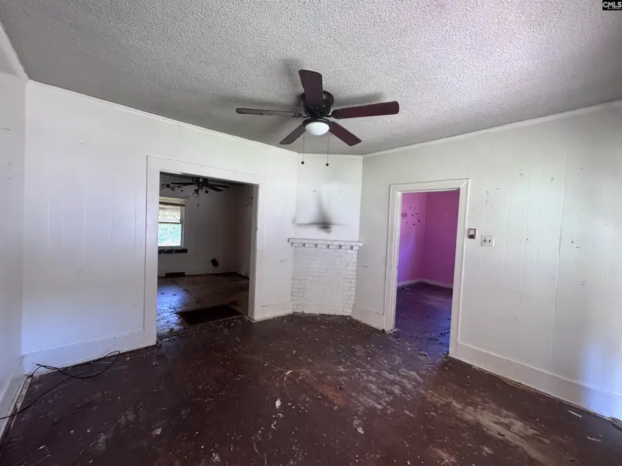 390 Holly Street, Winnsboro, SC 29180 - #3