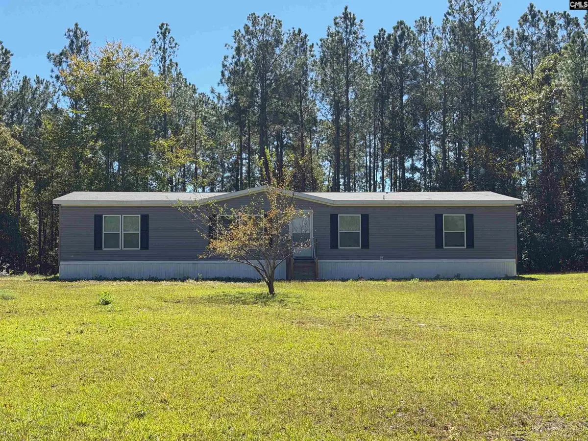 160 Hollow Stump Road, Pelion, SC 29123 - #1