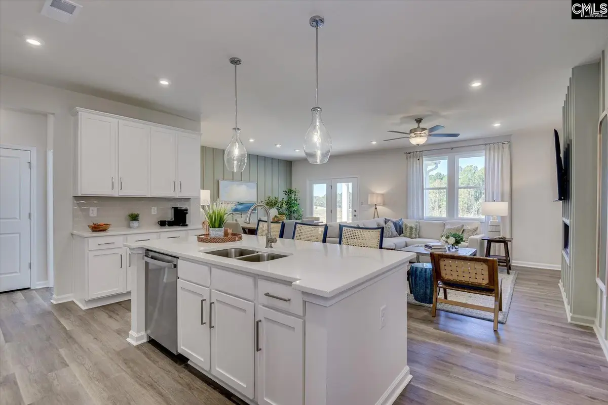 352 Granny's Cut Way, Chapin, SC 29036 - #1