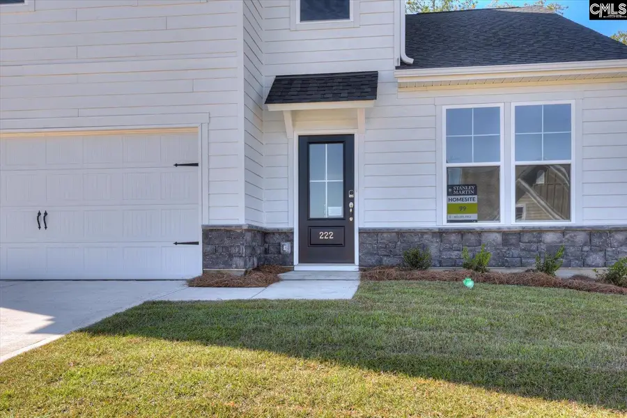 353 Grannys Cut Way, Chapin, SC 29036 - #2