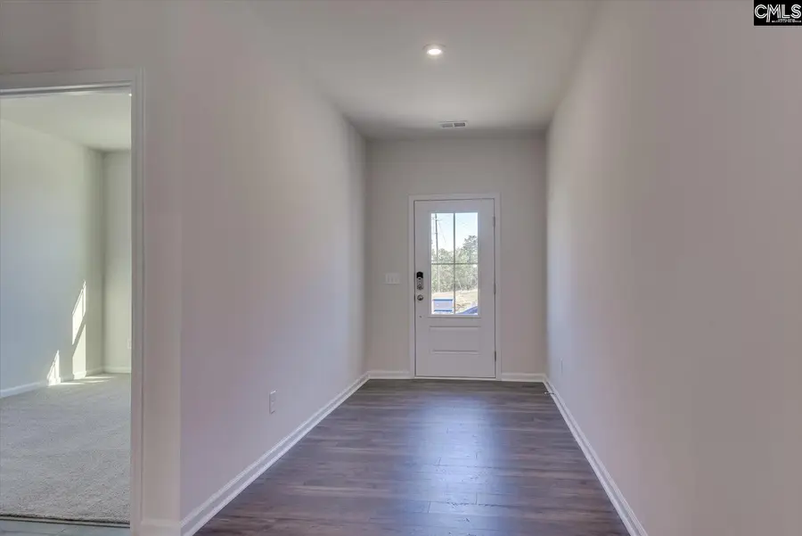 353 Grannys Cut Way, Chapin, SC 29036 - #3