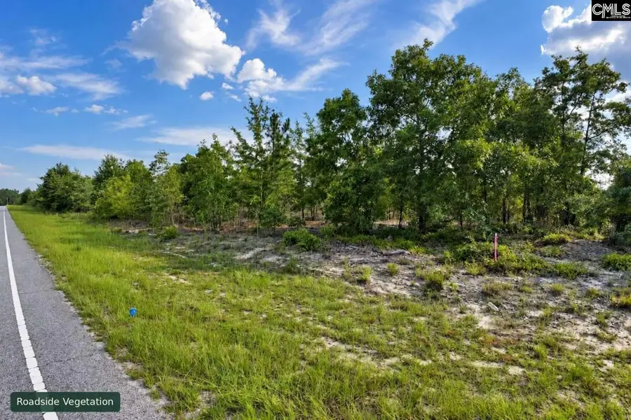 0 Lot 3 Old Georgetown Road, Cassatt, SC 29032 - #2