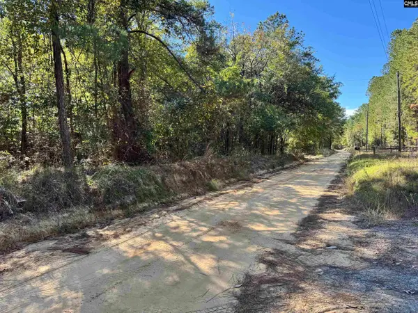 351 Camp Branch Road, Leesville, SC 29070
