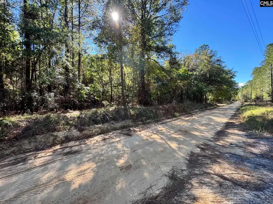 351 Camp Branch Road, Leesville, SC 29070 - #2