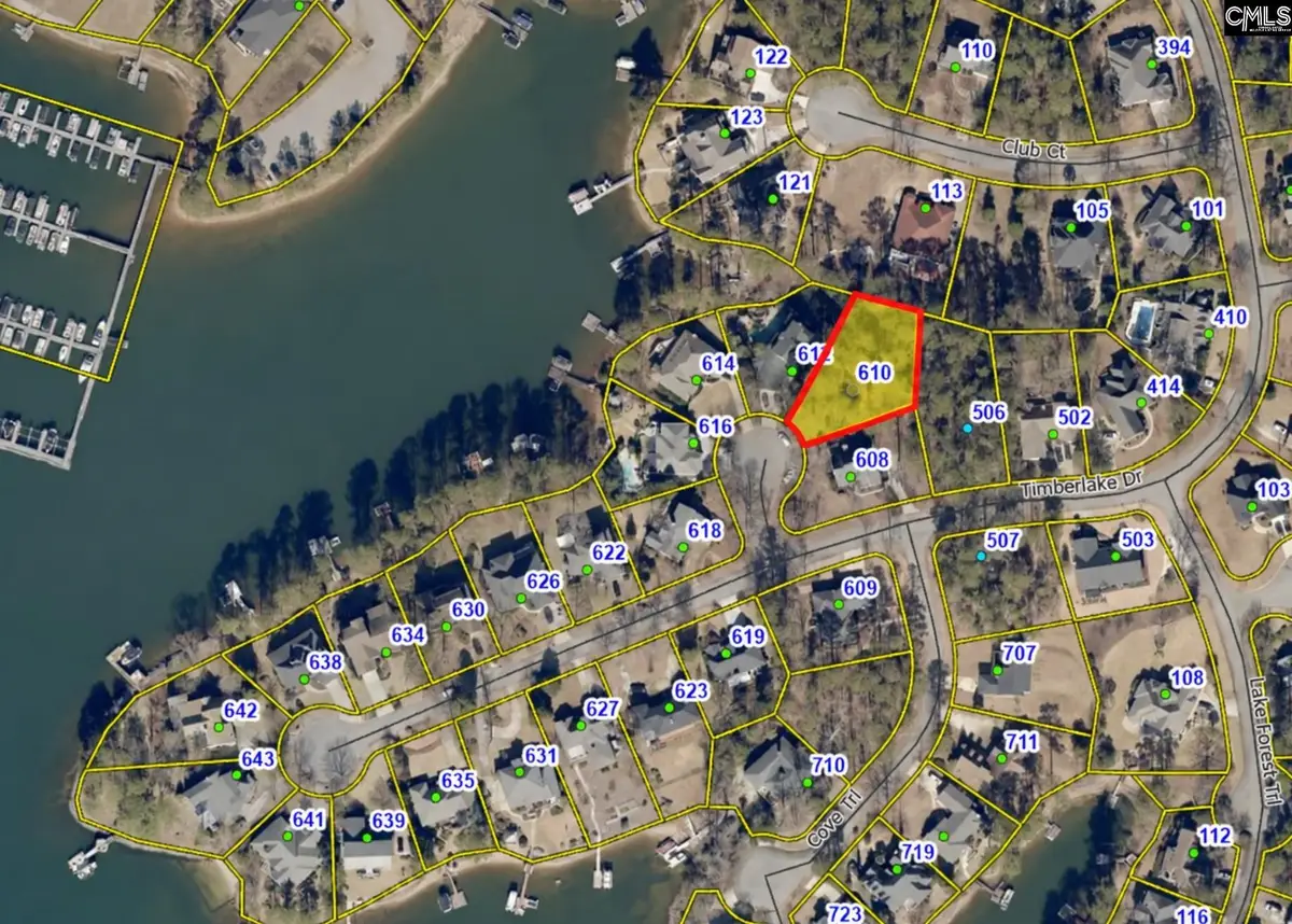 610 Timberlake Drive, Chapin, SC 29036 - #1