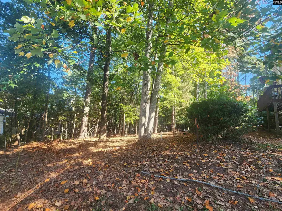 610 Timberlake Drive, Chapin, SC 29036 - #3
