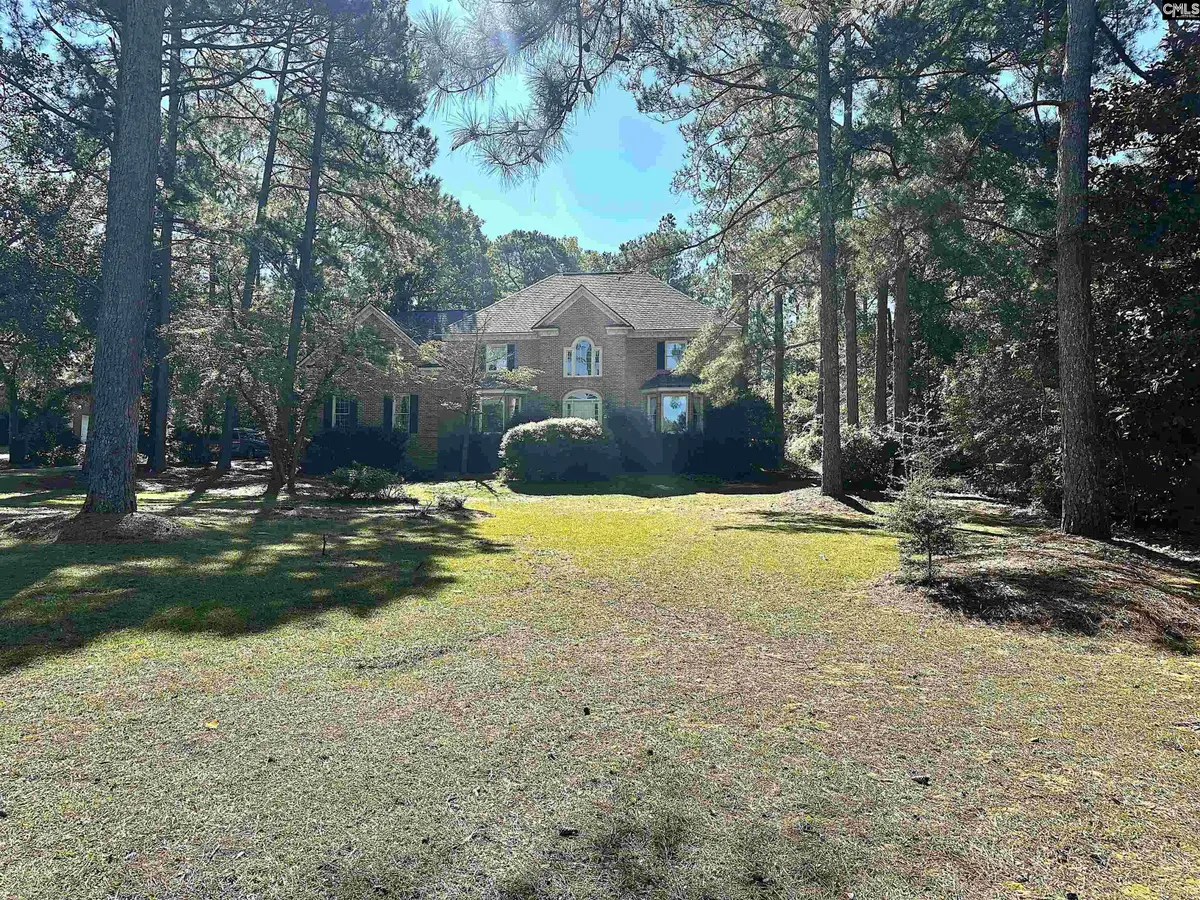 229 Holliday Road, Columbia, SC 29223 - #1