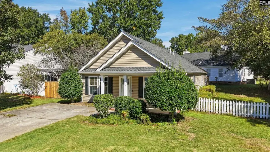 542 Chisolm Way, Lexington, SC 29073 - #2