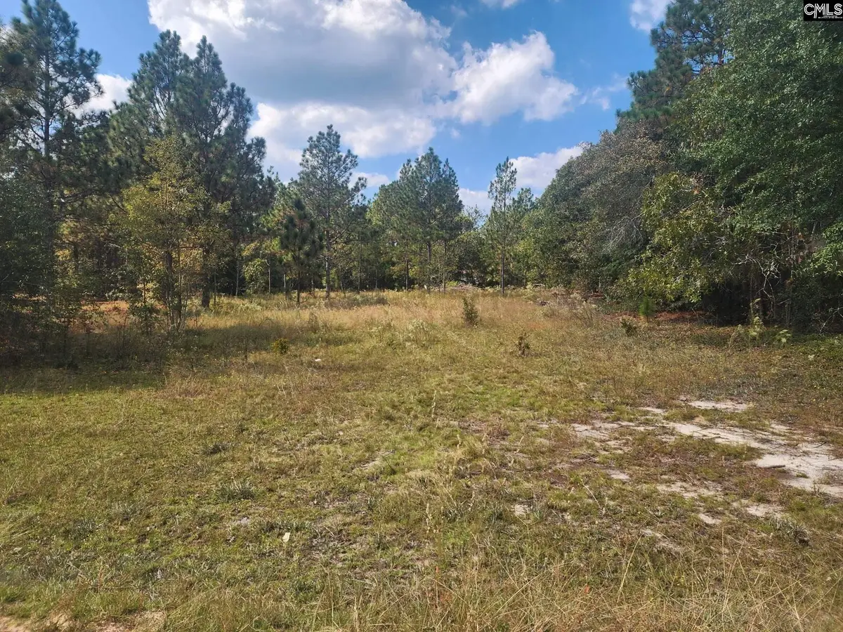 TBD Elijah Lane, Pelion, SC 29123 - #1