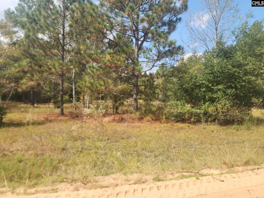 TBD Elijah Lane, Pelion, SC 29123 - #2