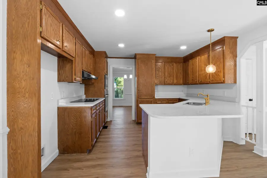 527 Oxford Court, Lexington, SC 29072 - #2
