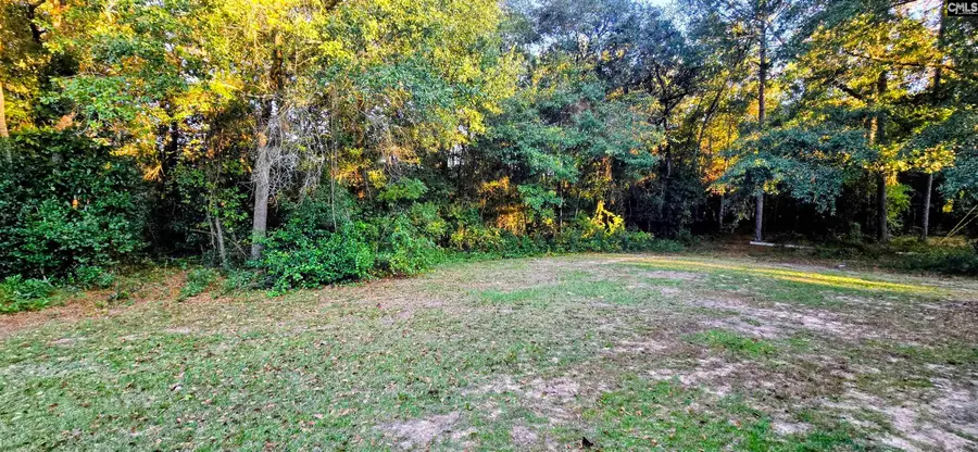 1051 Main Street, Pelion, SC 29123 - #3