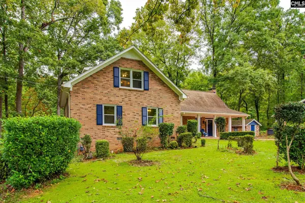 130 Pinewood Drive, Chapin, SC 29036