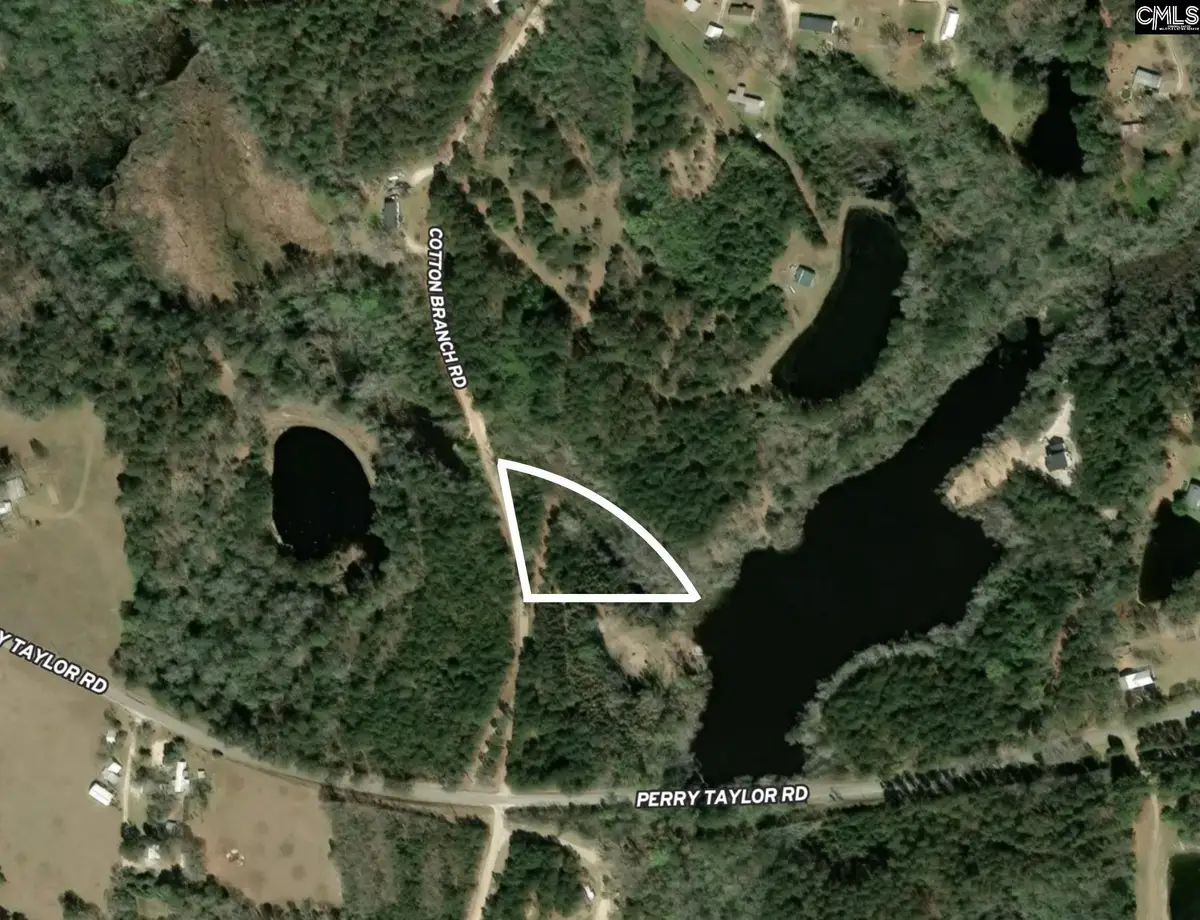 TBD Cotton Branch Road, Leesville, SC 29070 - #1