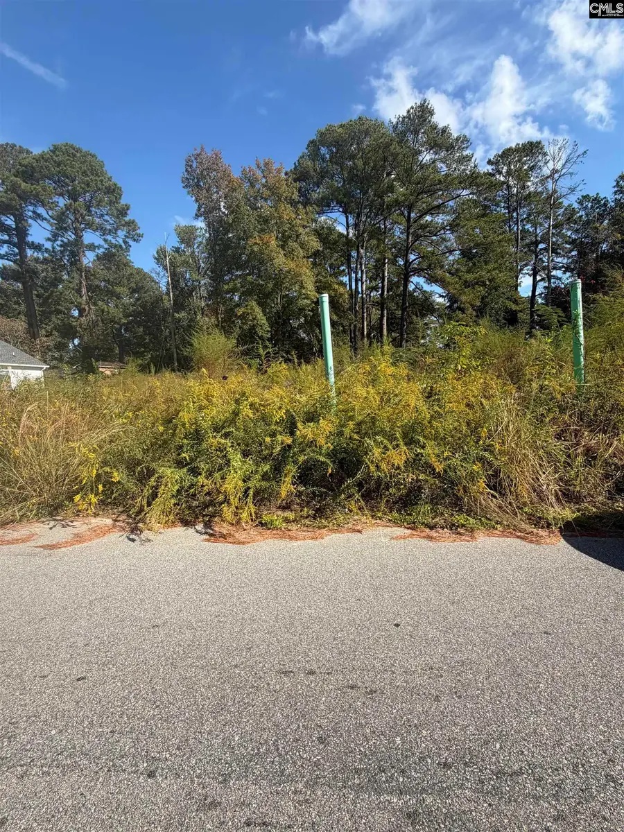 4347 Surfwood Drive, Columbia, SC 29209 - #2