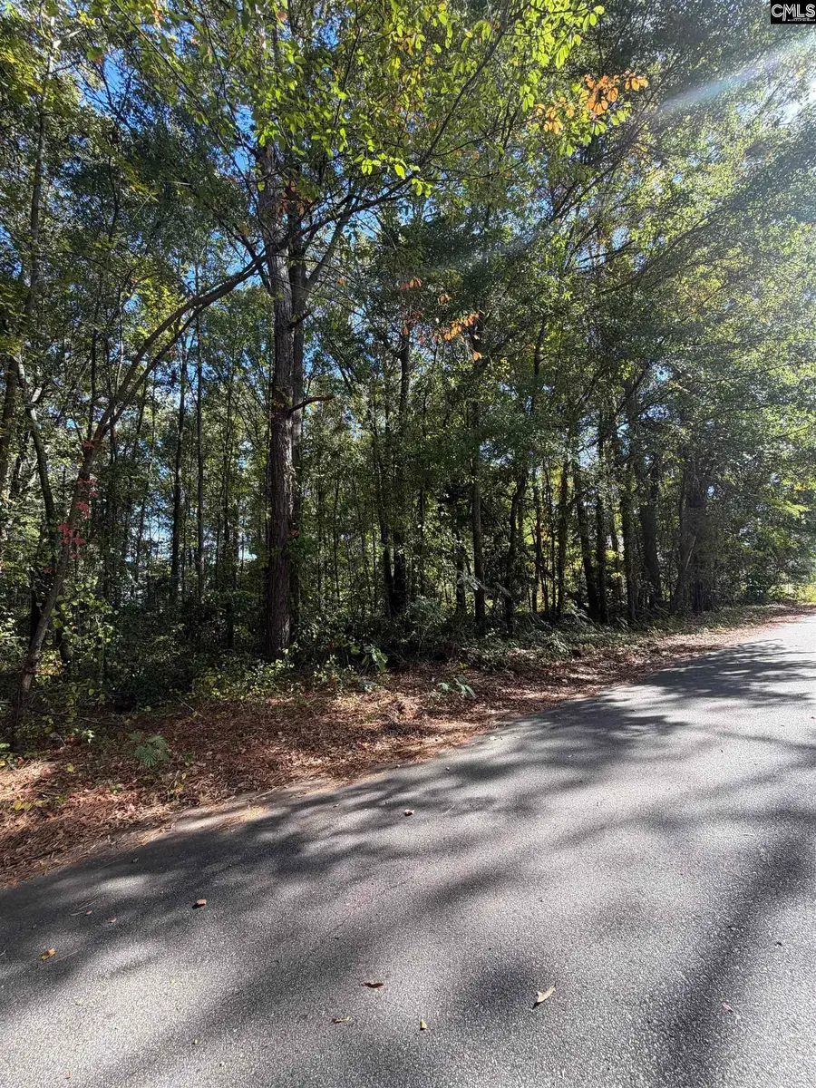 4327 Surfwood Drive, Columbia, SC 29209 - #2