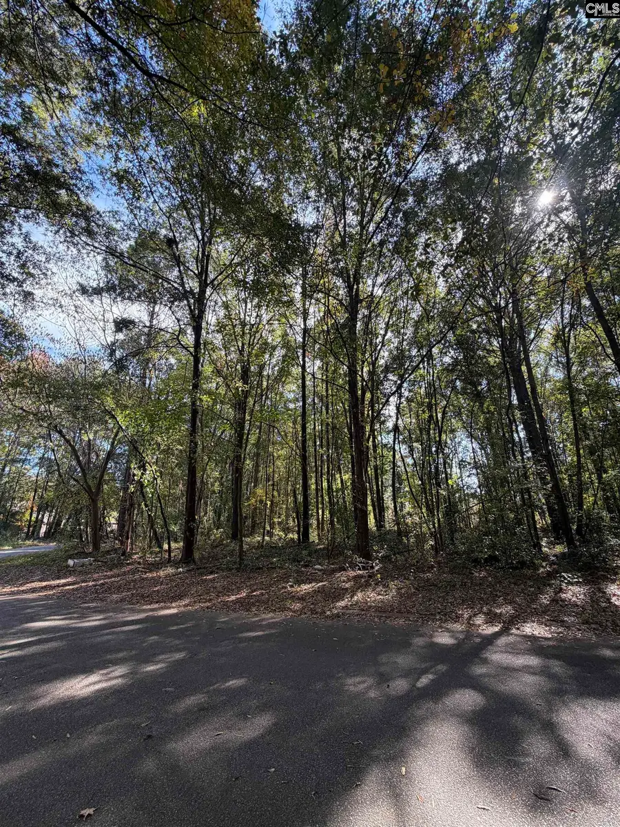 4319 Charter Court, Columbia, SC 29209 - #2