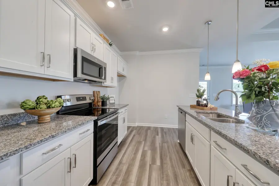 2007 Ludwig Drive, Lexington, SC 29073 - #2