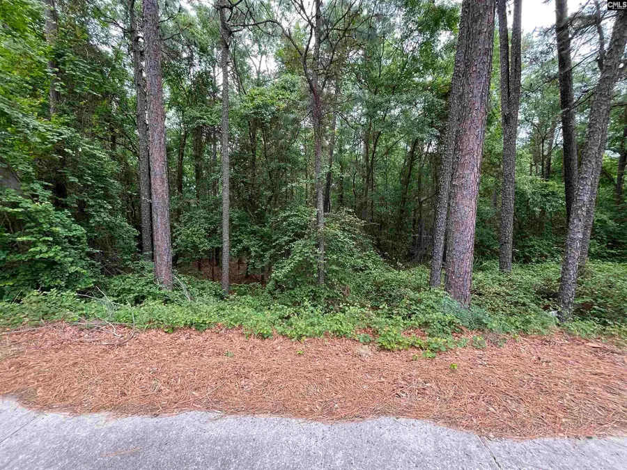 7008 Monticello Road, Columbia, SC 29203 - #3
