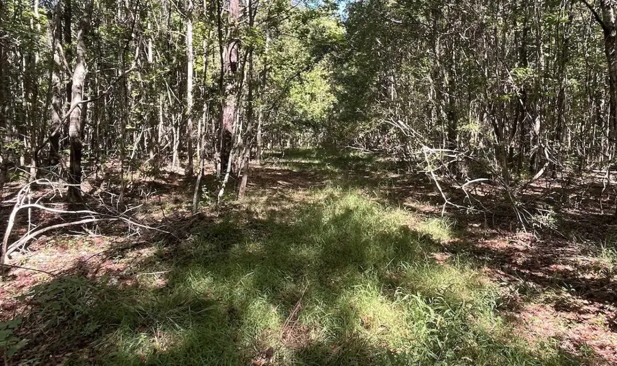 #3