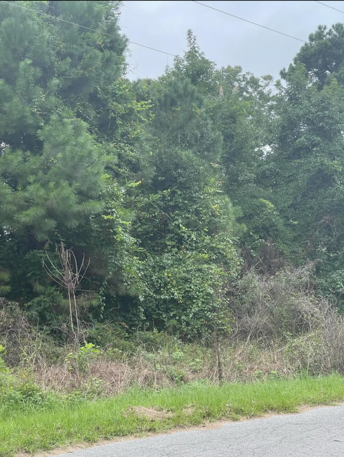 004 Summers Drive, Summerville, SC 29483 - Image #1