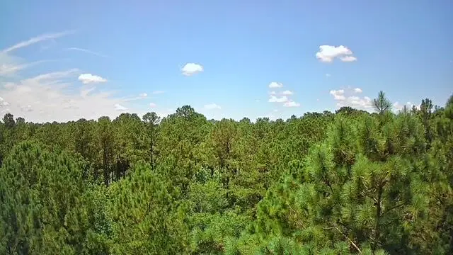 #1