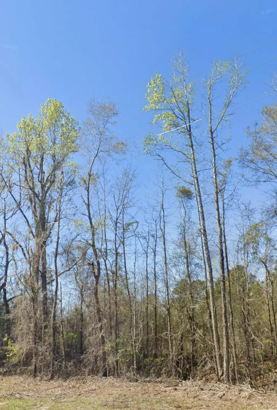 Address Withheld By Seller, Bamberg, SC 29003 - Image #3