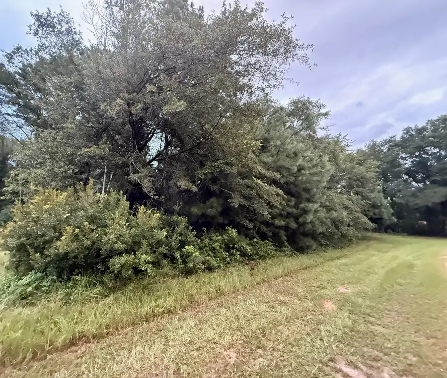 0 Staley Field Lane, Saint Matthews, SC 29135 - Image #2