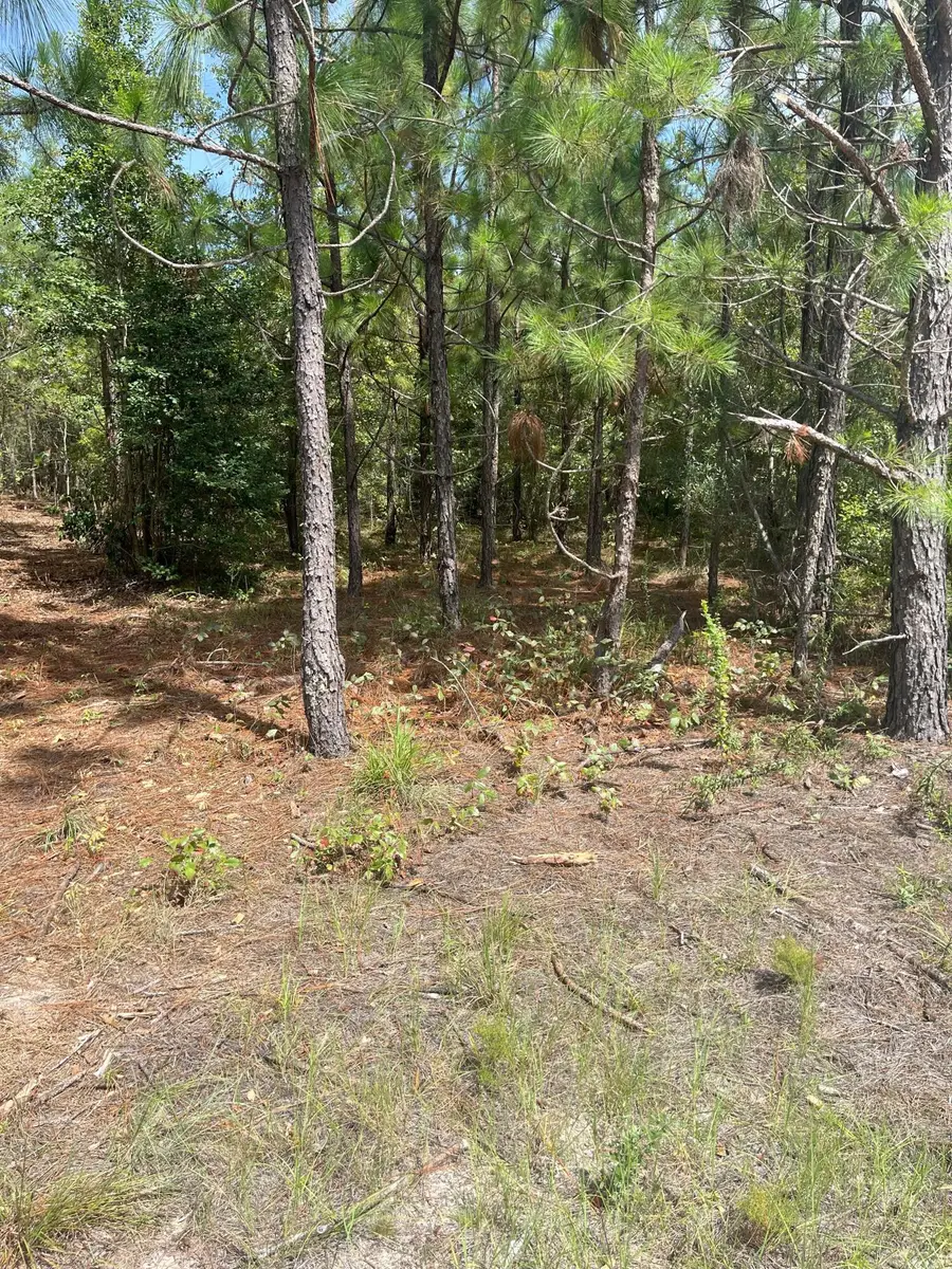 Ppf 8 Payne Pond Road #Ppf 8, Westville, SC 29175 - Image #2