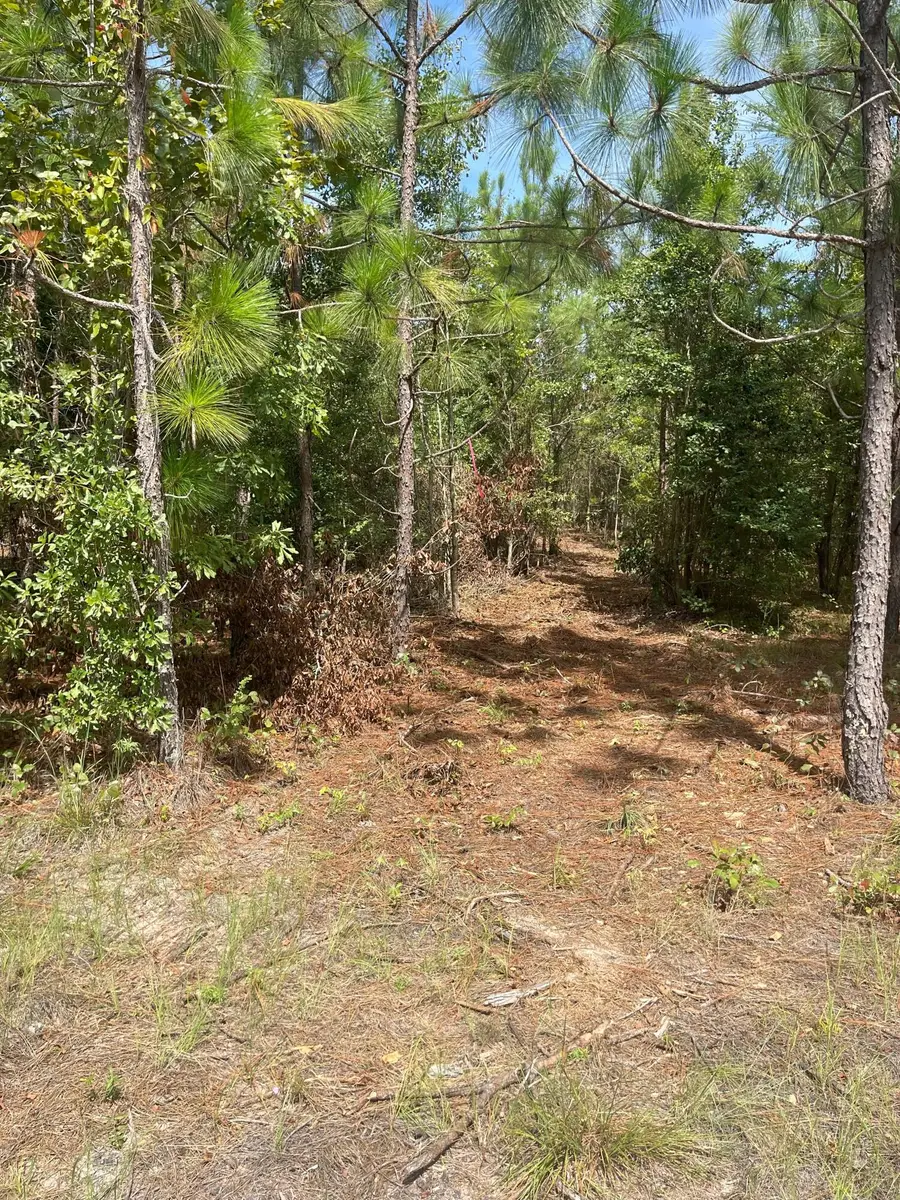 Ppf 9 Payne Pond Road #Ppf 9, Westville, SC 29175 - Image #2