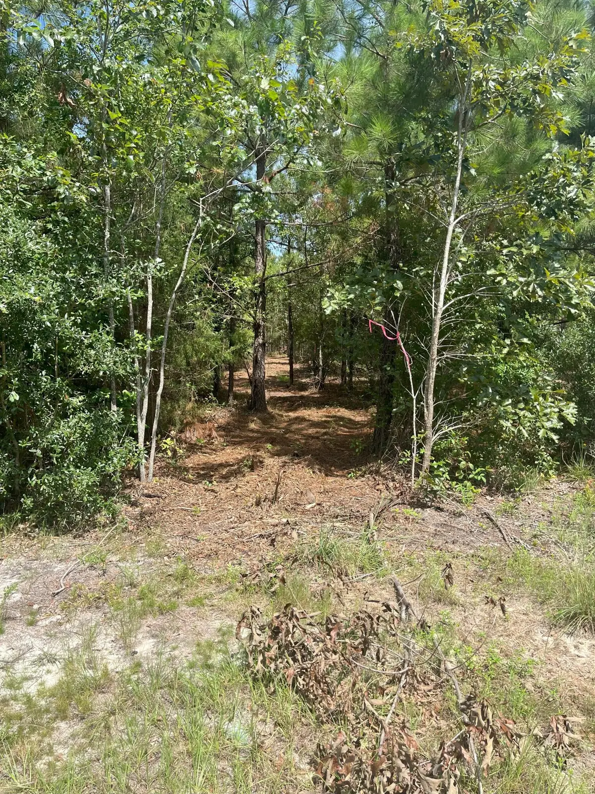 Ppf 11 Payne Pond Road #Ppf 11, Westville, SC 29175 - Image #1