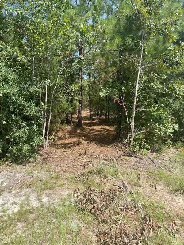 Ppf 11 Payne Pond Road #Ppf 11, Westville, SC 29175