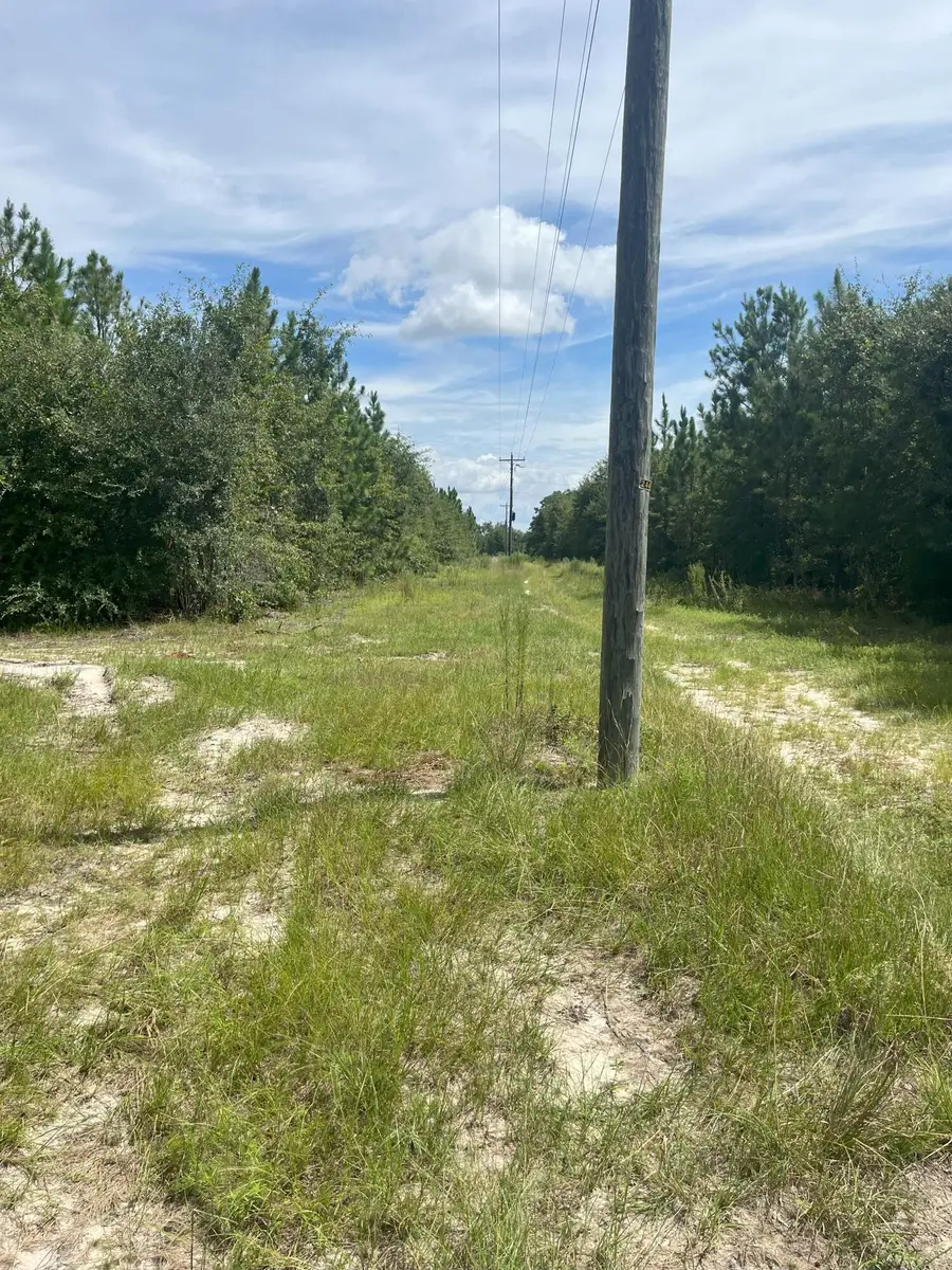 Ppf 11 Payne Pond Road #Ppf 11, Westville, SC 29175 - Image #2