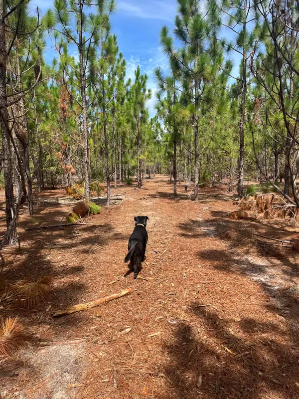 Bff 2a Brunson Teal Road #Bff 2a, Patrick, SC 29584