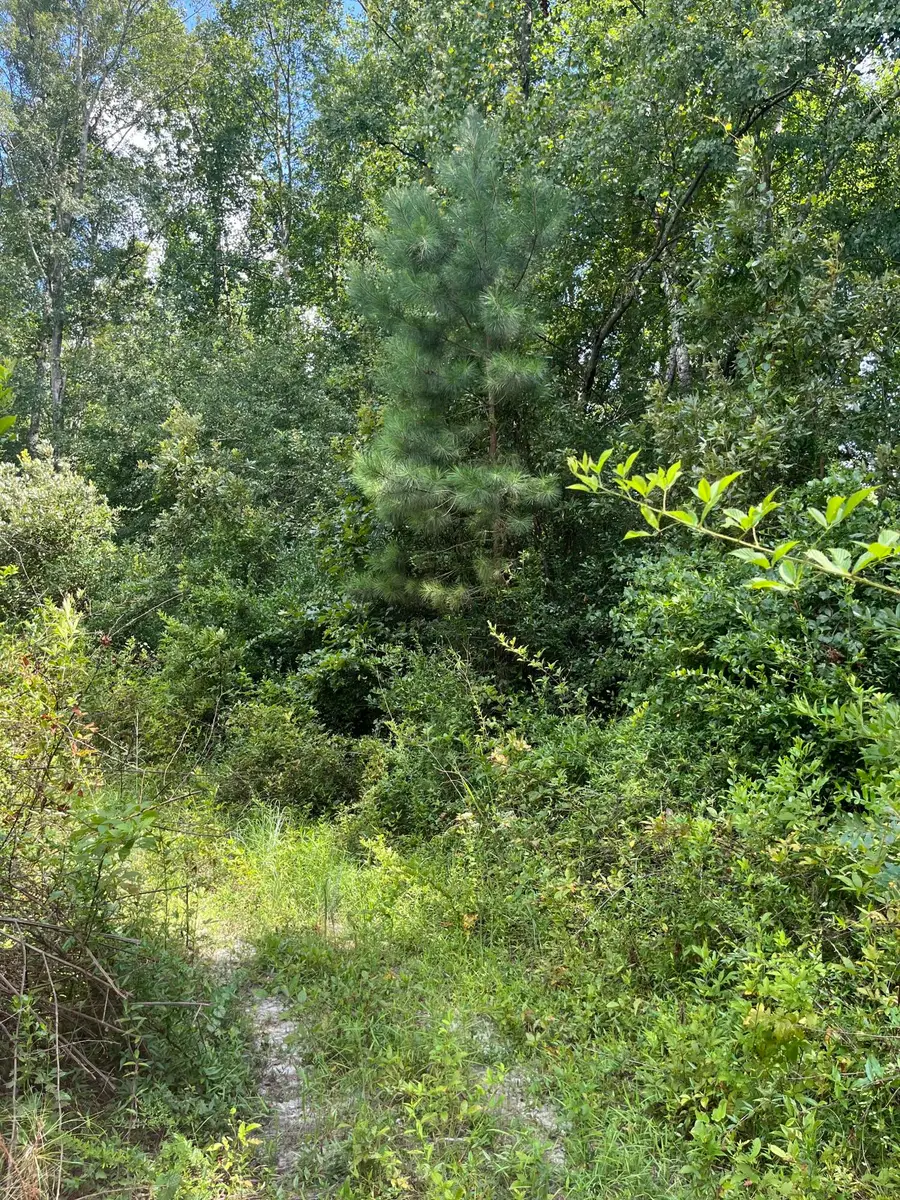 Bff 2a Brunson Teal Road #Bff 2a, Kershaw, SC 29584 - Image #2