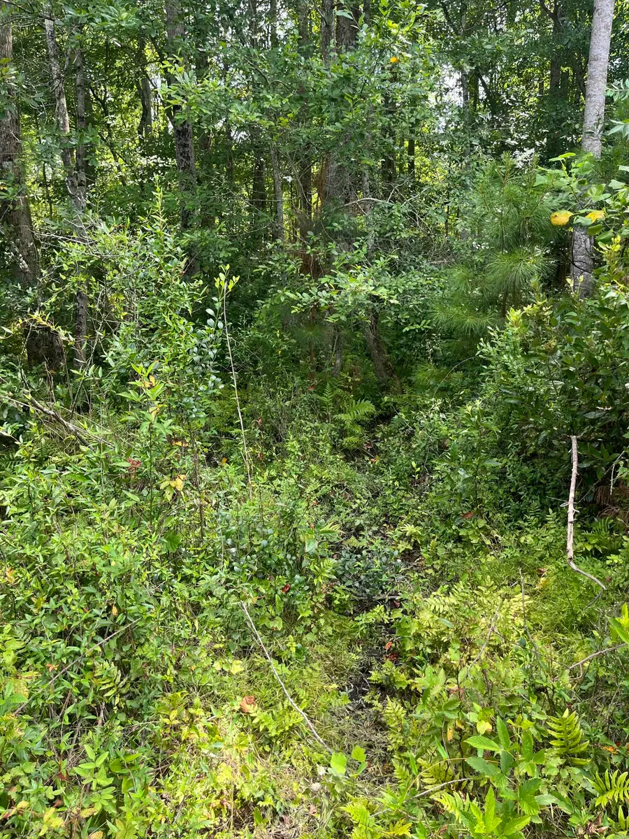 Bff 2a Brunson Teal Road #Bff 2a, Kershaw, SC 29584 - Image #3