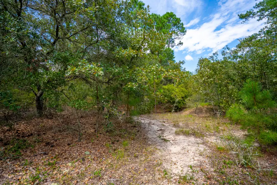 Address Withheld By Seller, Aiken, SC 29803 - Image #2