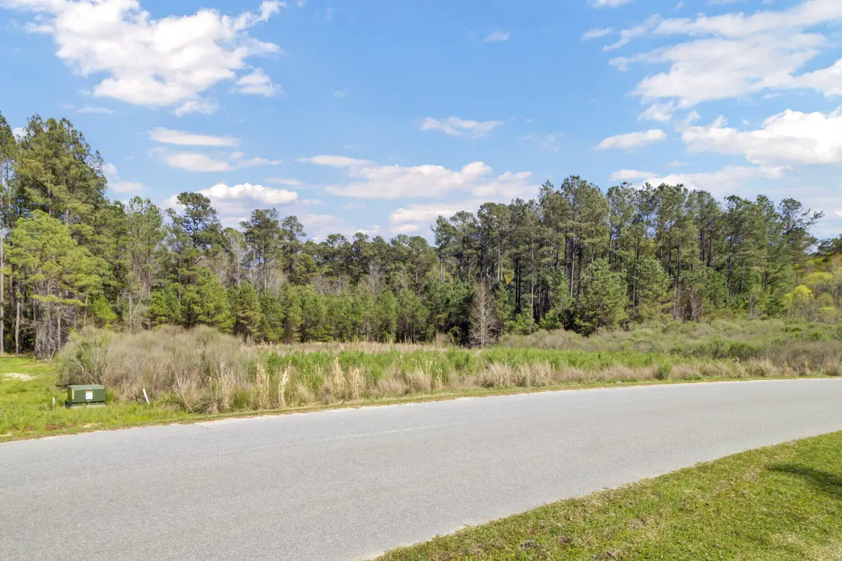 1319 Wood Sorrel Drive, Moncks Corner, SC 29461 - Image #1