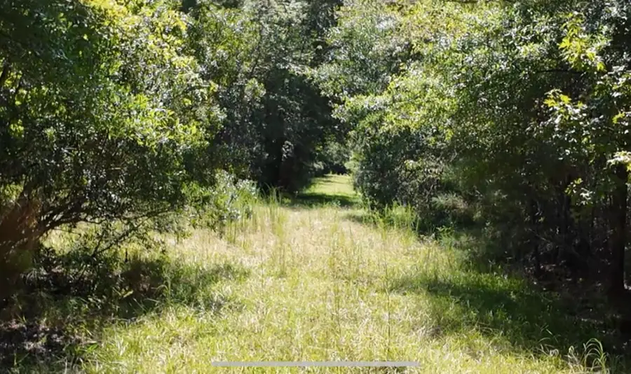 00 Misty Ridge Lane, Walterboro, SC 29488 - Image #2