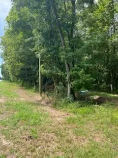 Address Withheld By Seller, Walterboro, SC 29488 - Image #3