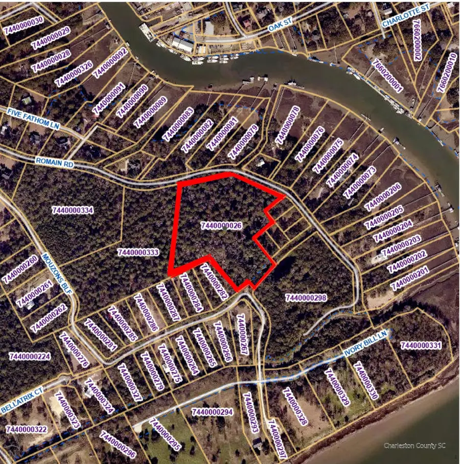 003 Romain Road #Tract 1-B, McClellanville, SC 29458 - #2
