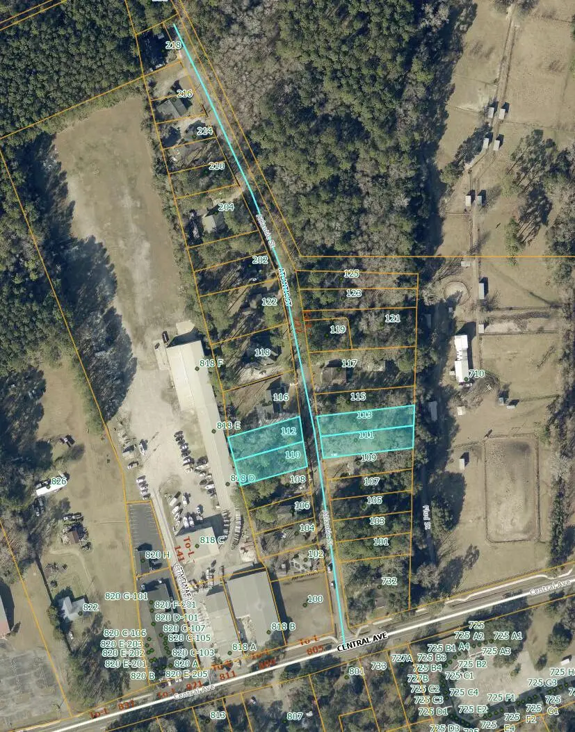 113 Atlantic Street, Summerville, SC 29483 - #2