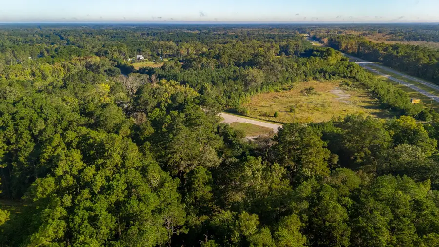 84 Boatyard Lane, Green Pond, SC 29446 - Image #2