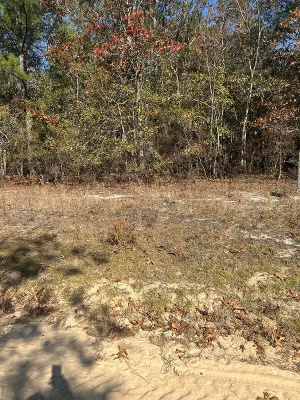 0 Hawthorne Trail, Saint Matthews, SC 29135